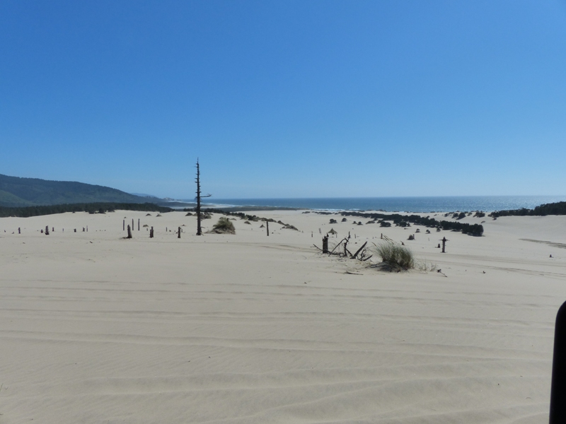 Sand Lake Oregon