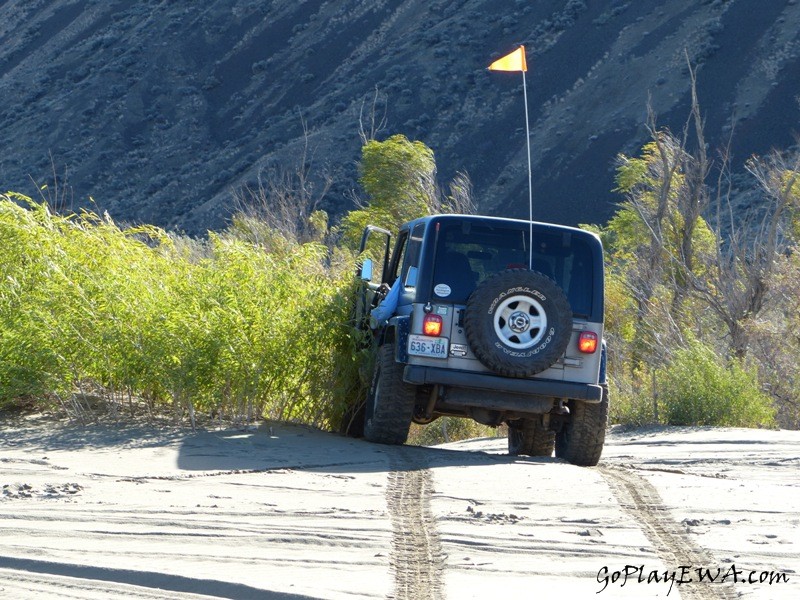 Beverly Dunes