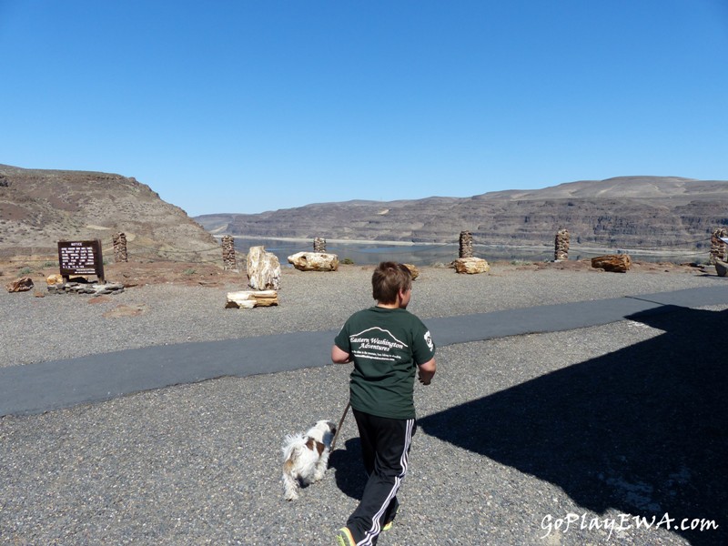 Ginkgo Petrified Forest