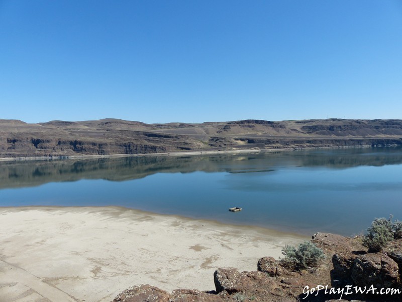 Ginkgo Petrified Forest