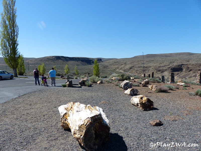 Ginkgo Petrified Forest