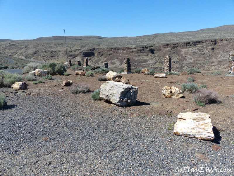 Ginkgo Petrified Forest