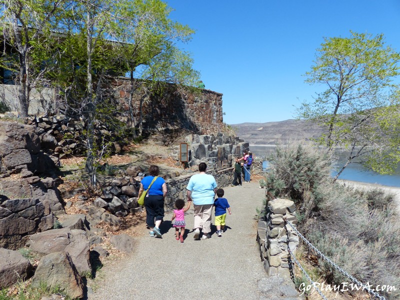 Ginkgo Petrified Forest