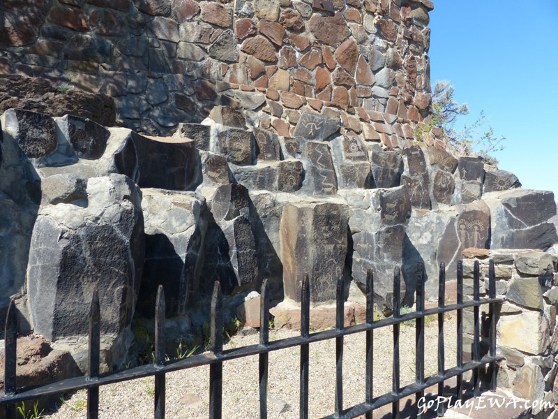 Ginkgo Petrified Forest