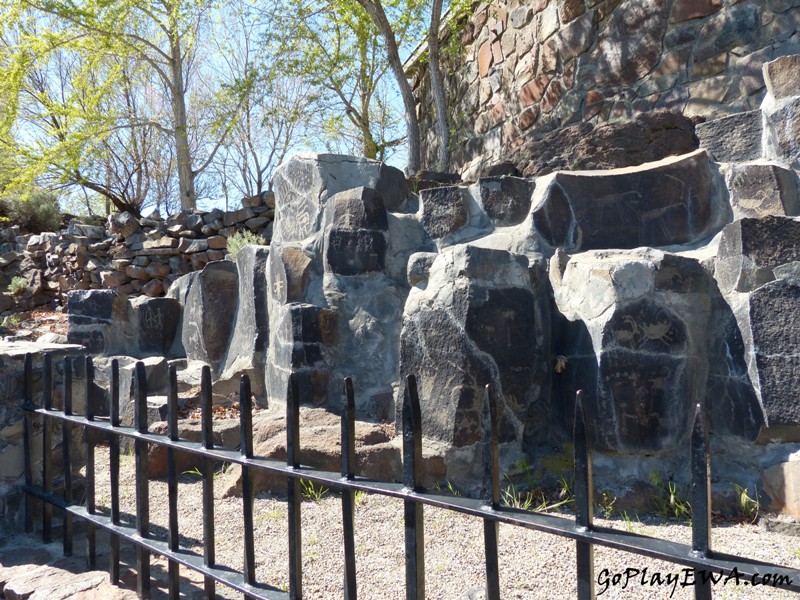 Ginkgo Petrified Forest