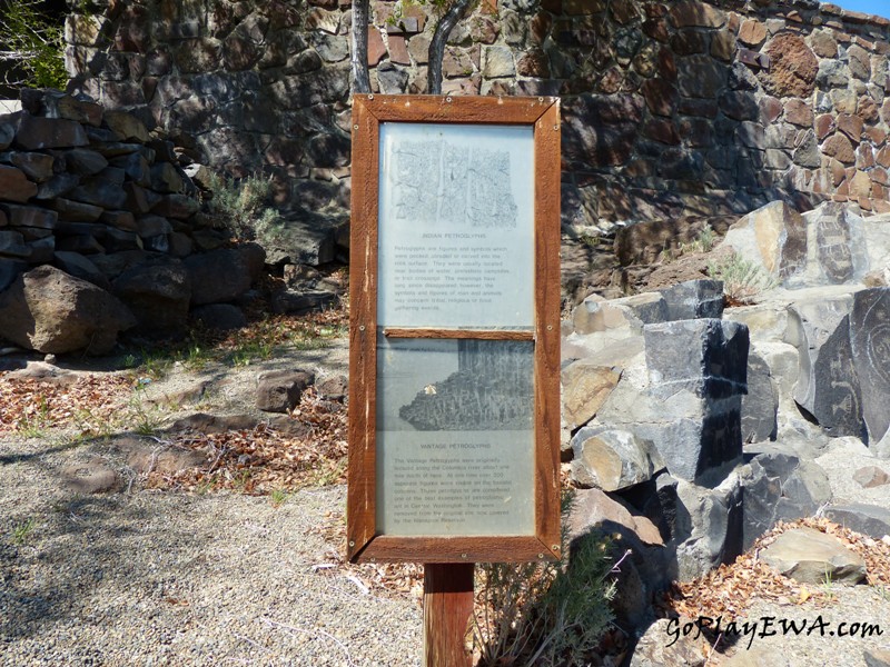 Ginkgo Petrified Forest