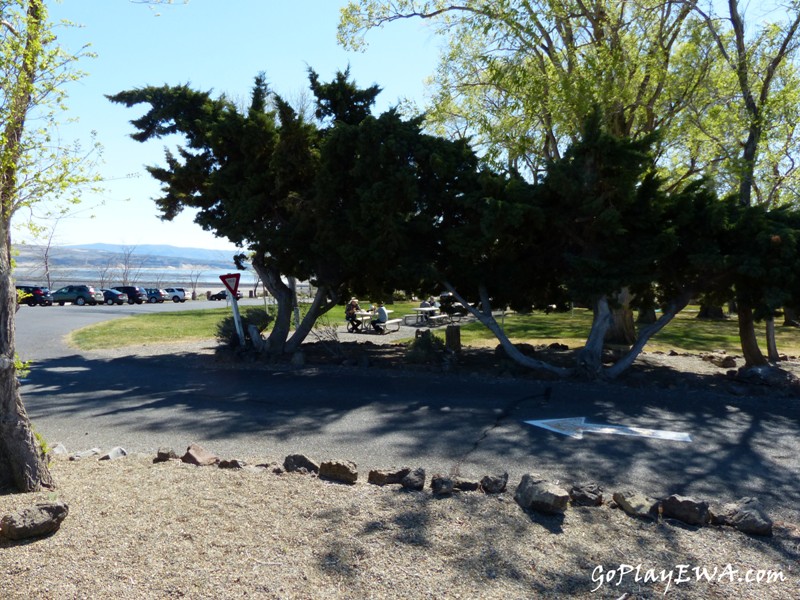 Ginkgo Petrified Forest