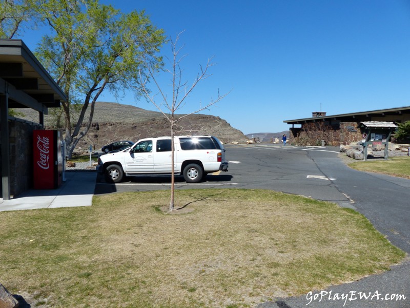 Ginkgo Petrified Forest