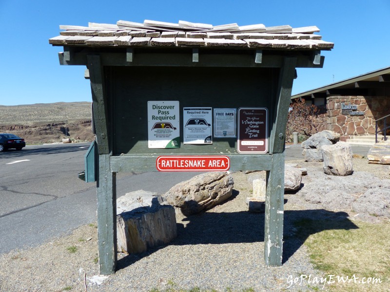 Ginkgo Petrified Forest