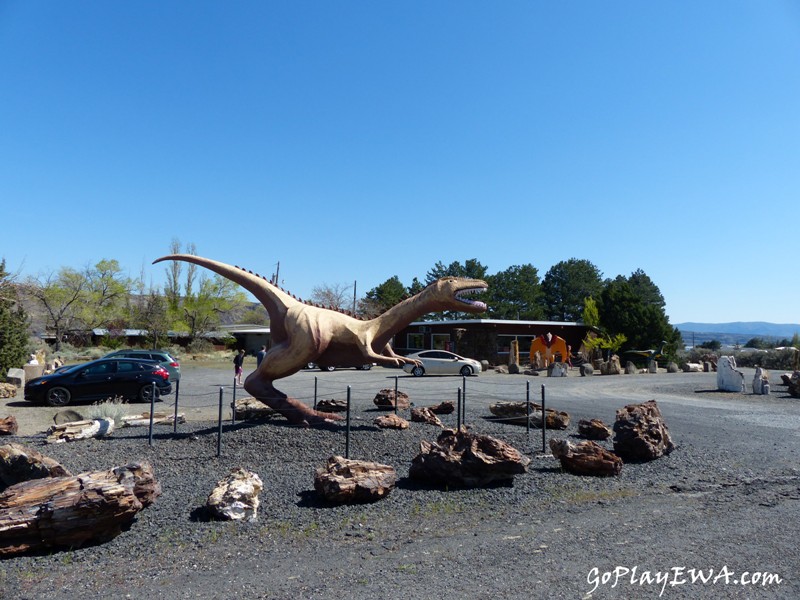 Ginkgo Petrified Forest