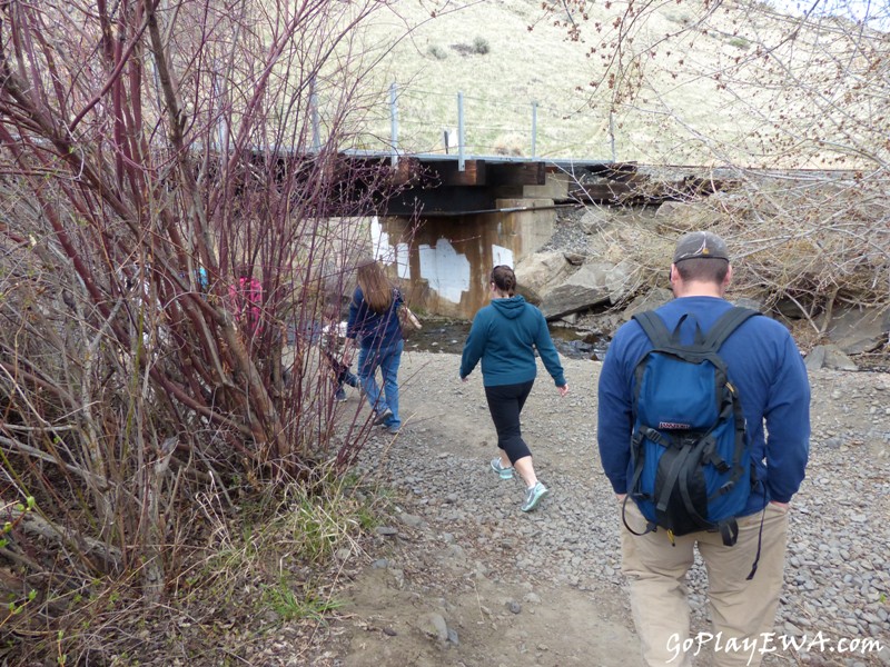 Selah Cub Scout Pack 276 Umtanum Creek hike