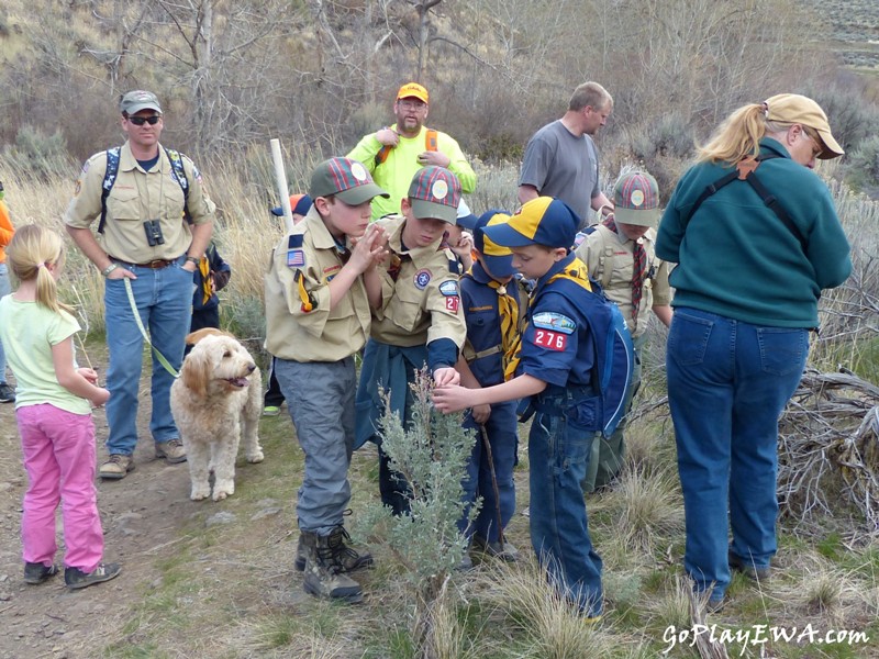 Selah Cub Scout Pack 276 Umtanum Creek hike