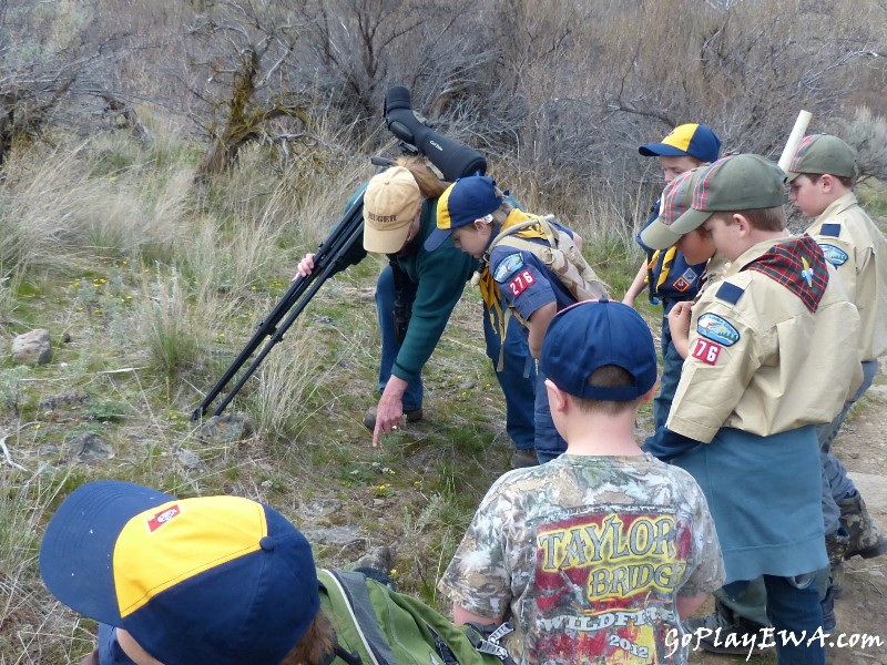 Selah Cub Scout Pack 276 Umtanum Creek hike