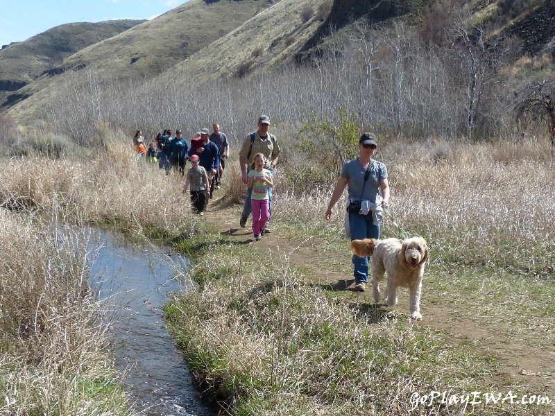 Selah Cub Scout Pack 276 Umtanum Creek hike