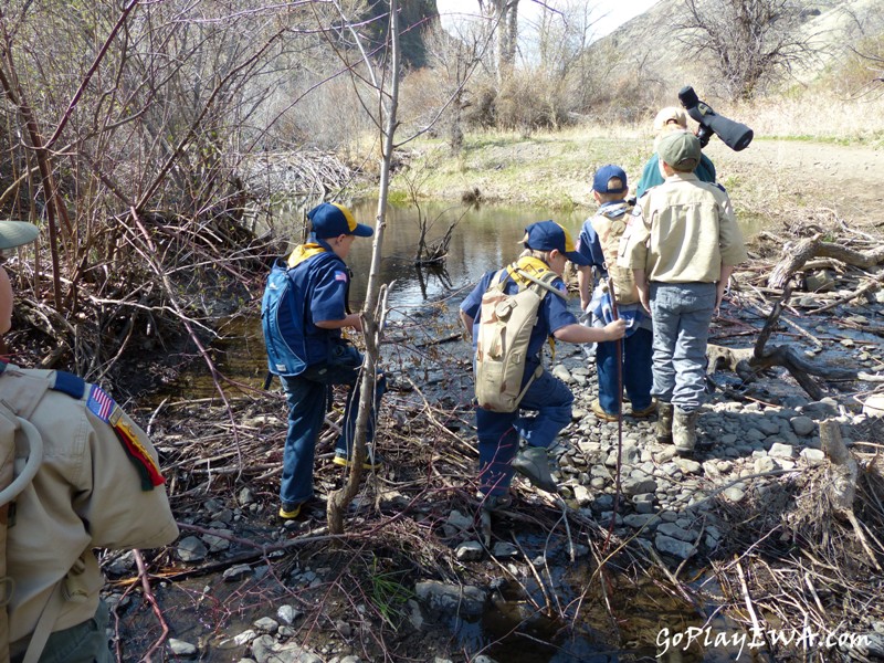 Selah Cub Scout Pack 276 Umtanum Creek hike