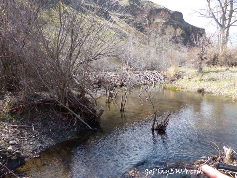 Selah Cub Scout Pack 276 Umtanum Creek hike