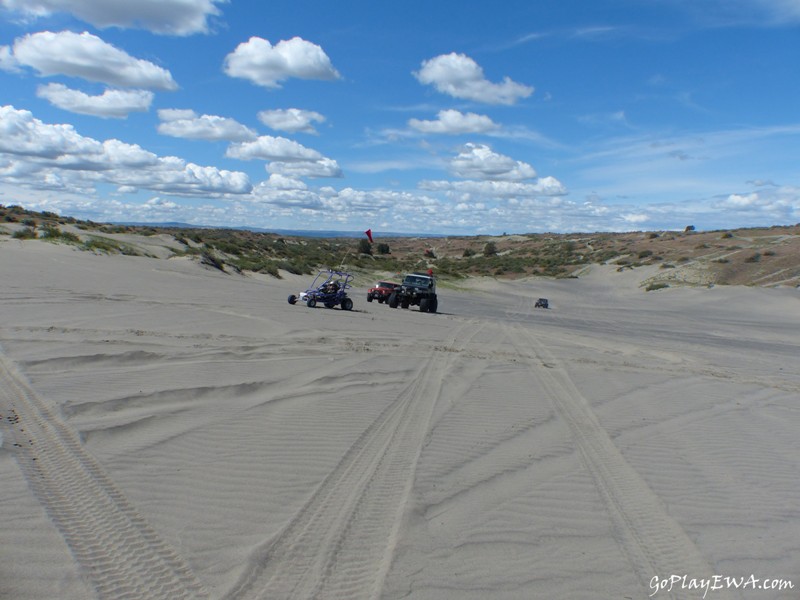 Juniper Dunes