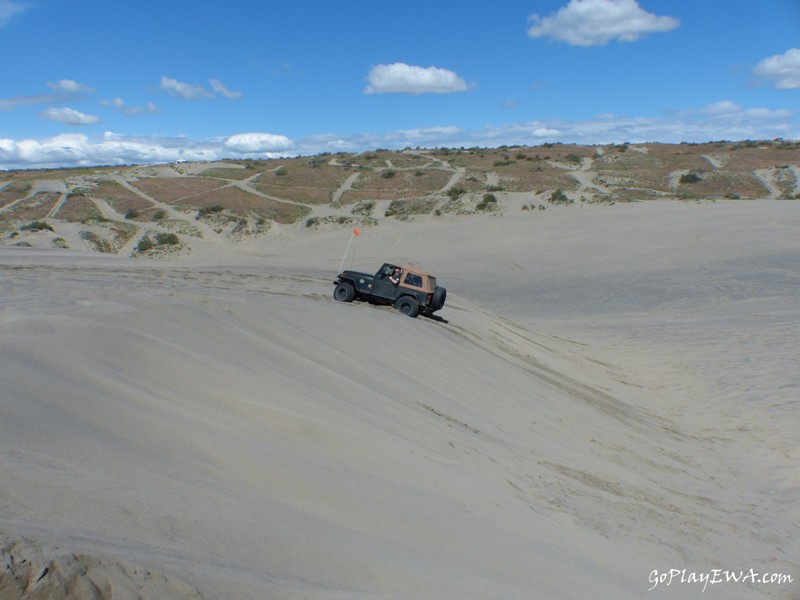 Juniper Dunes