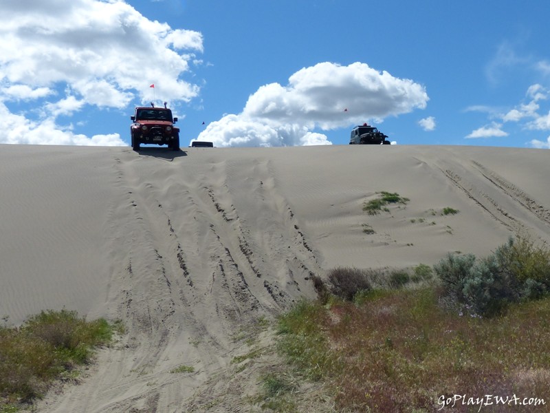 Juniper Dunes