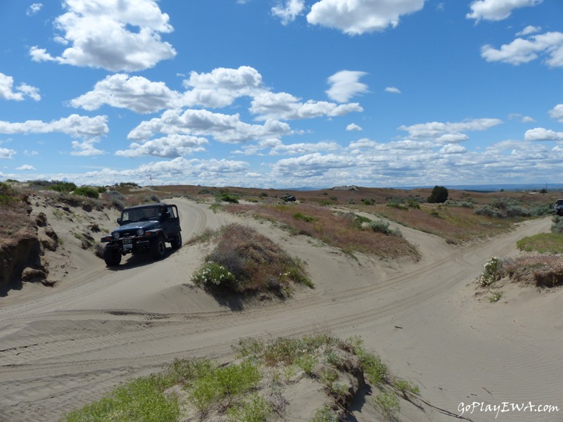 Juniper Dunes