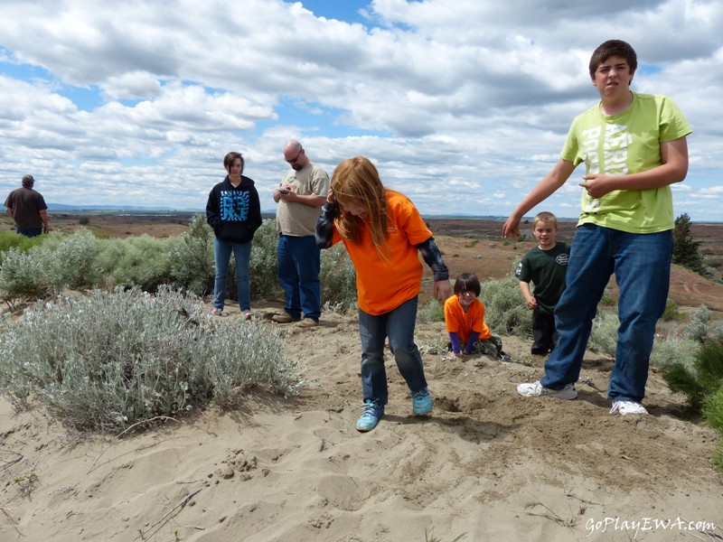 Juniper Dunes