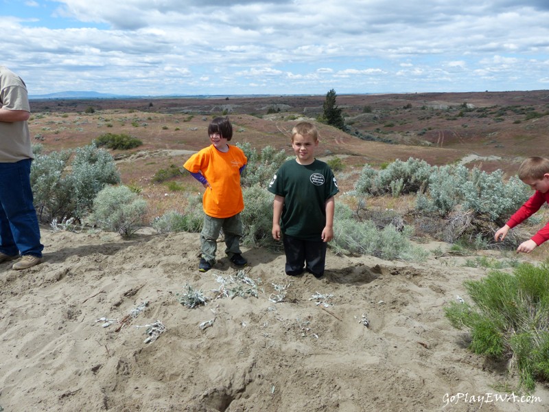 Juniper Dunes