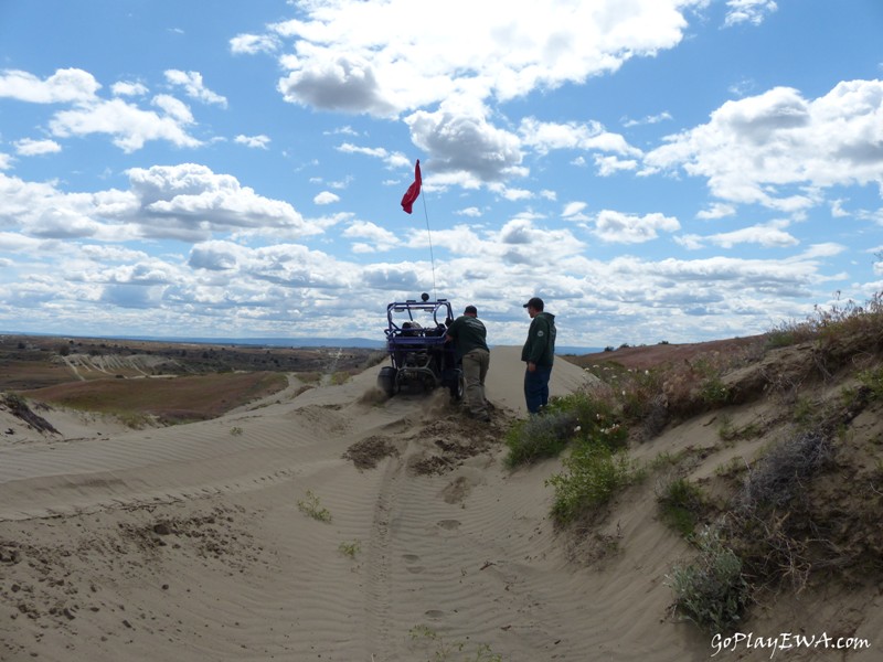 Juniper Dunes