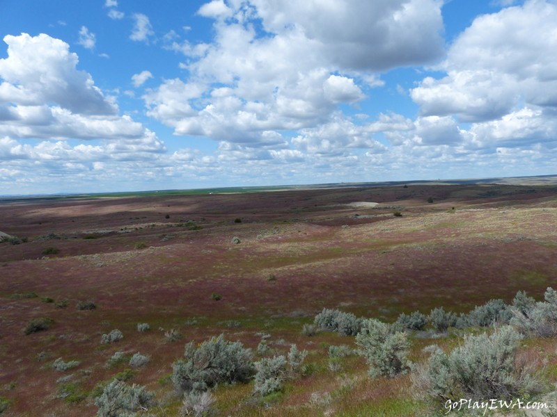 Juniper Dunes