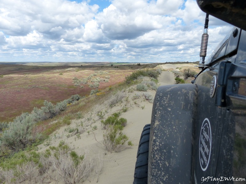 Juniper Dunes