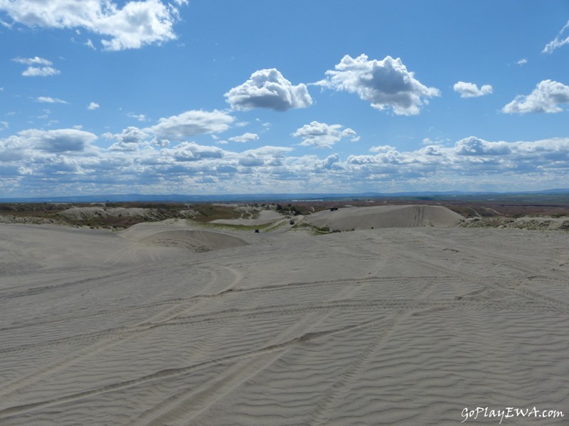 Juniper Dunes