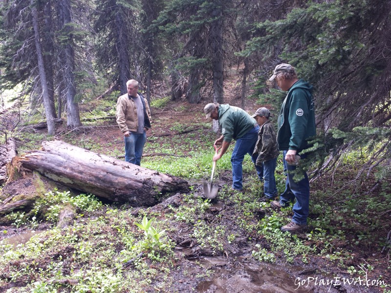 Ahtanum State Forest