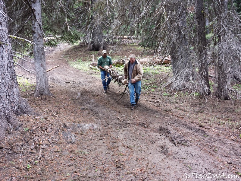 Ahtanum State Forest