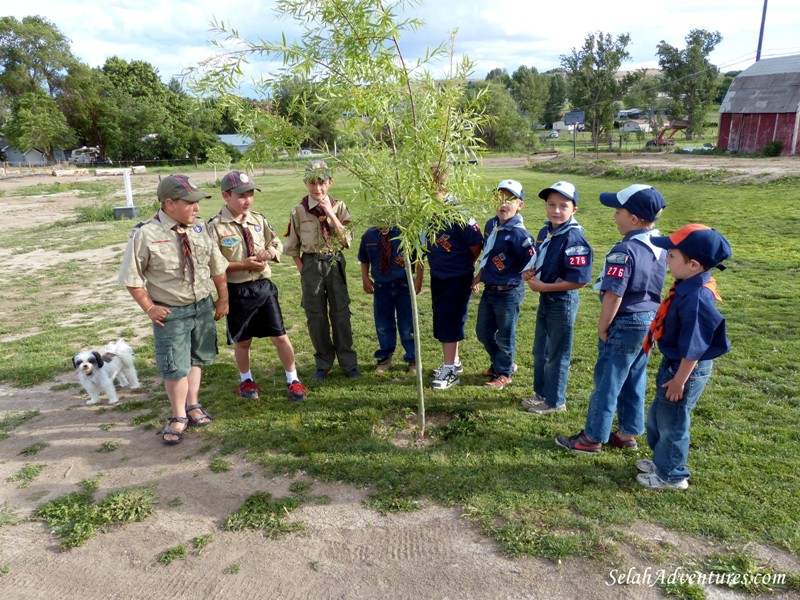 Selah Cub Scouts