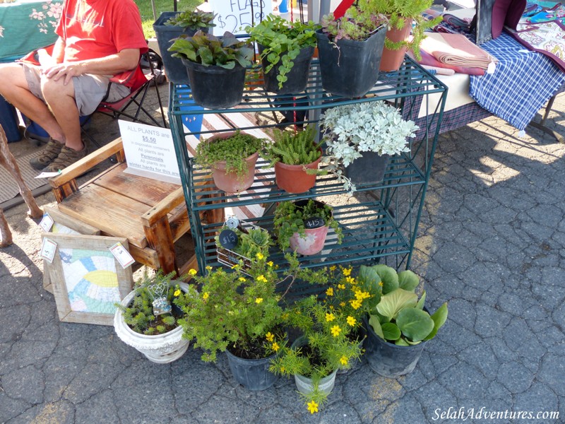 Selah's Wednesday Market