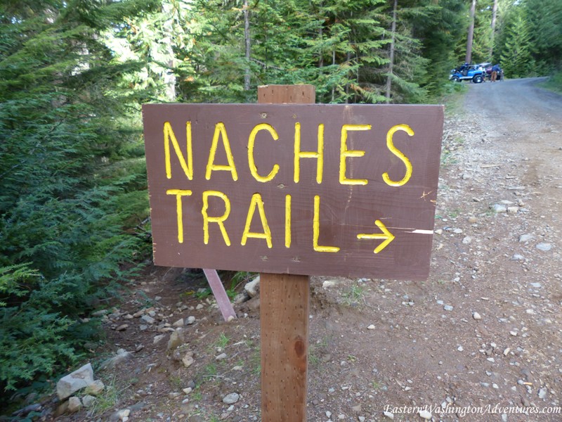 Naches