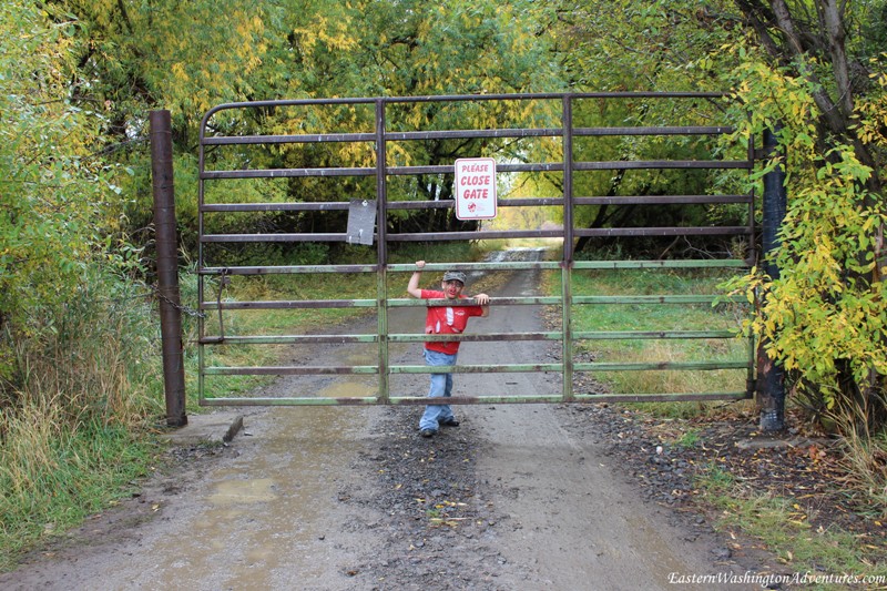 Wenas Wildlife Area