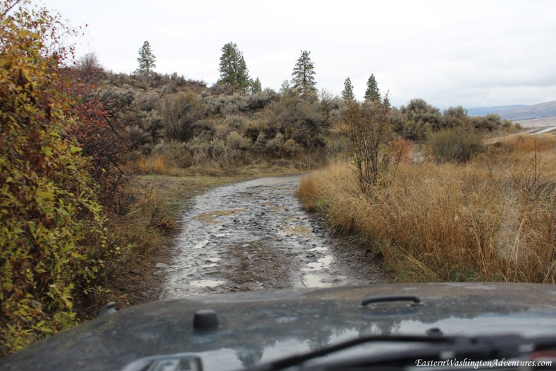 Wenas Wildlife Area