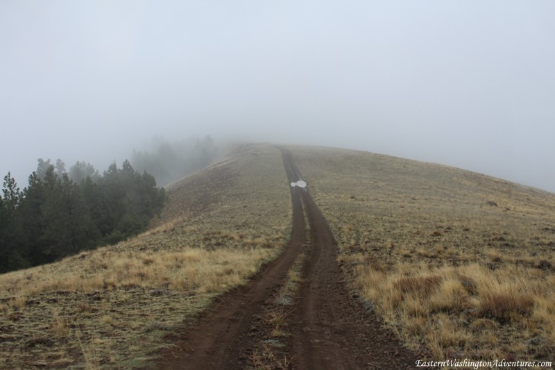 Wenas Wildlife Area