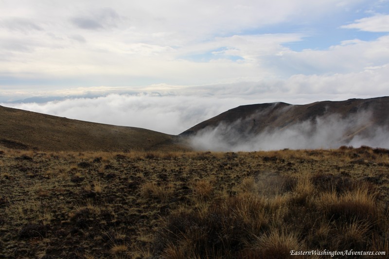 Wenas Wildlife Area