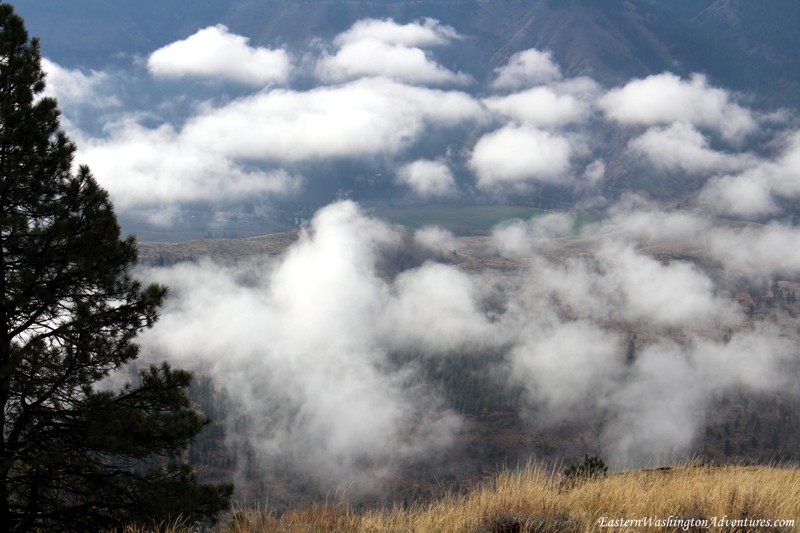 Wenas Wildlife Area