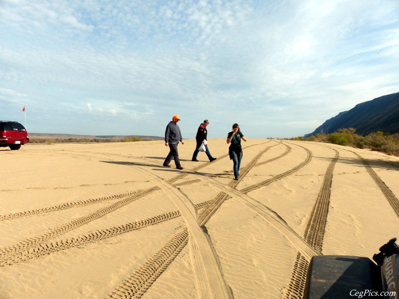 Beverly Dunes