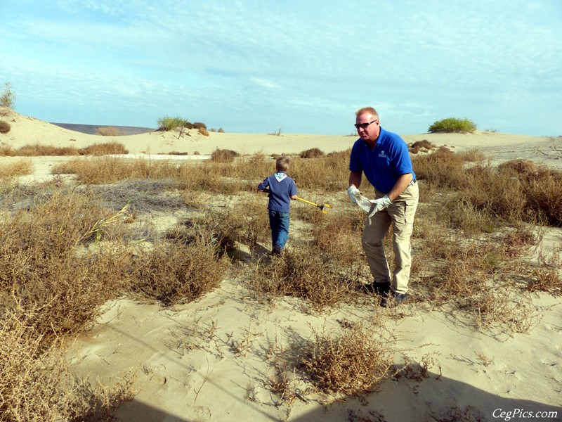 Beverly Dunes