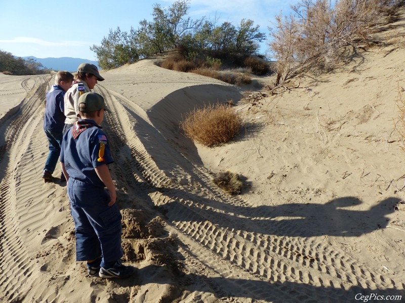 Beverly Dunes