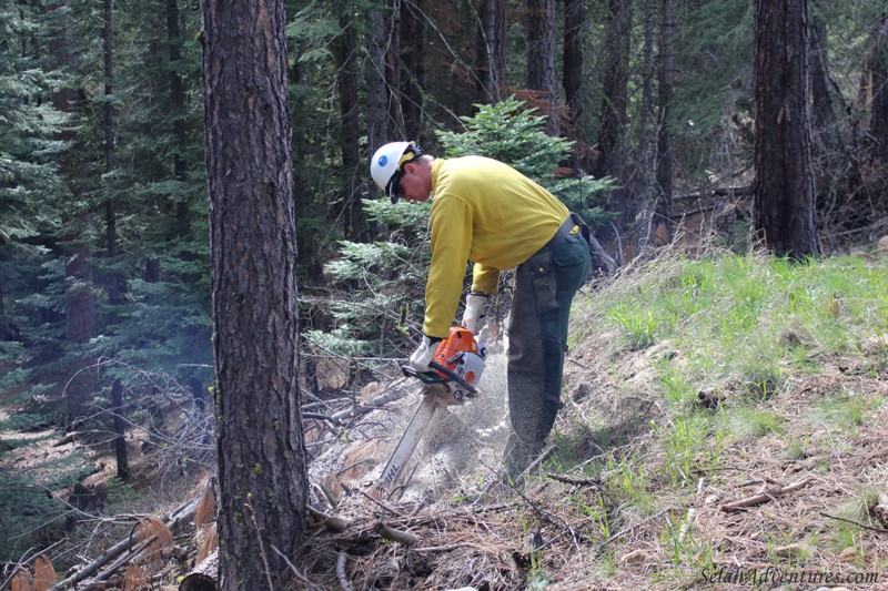 Cub Scout Wildfire Awareness