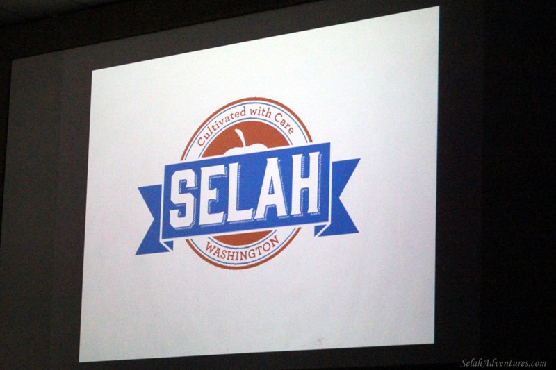 Selah Branding & Development