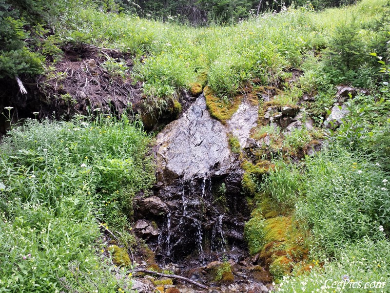 Gallagher Head Lake