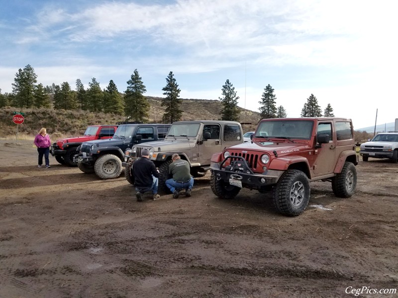 Christmas Tree Jeeping