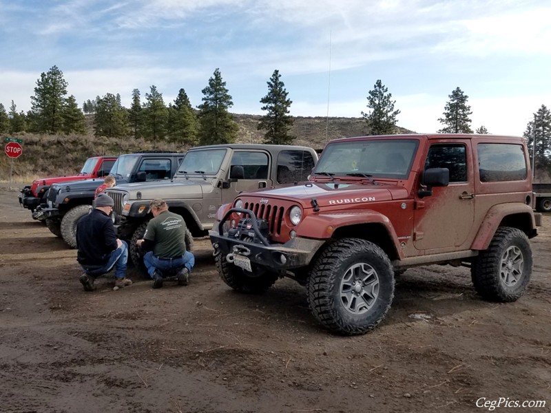 Christmas Tree Jeeping