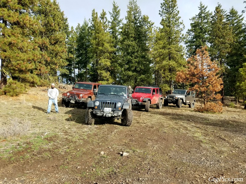 Christmas Tree Jeeping