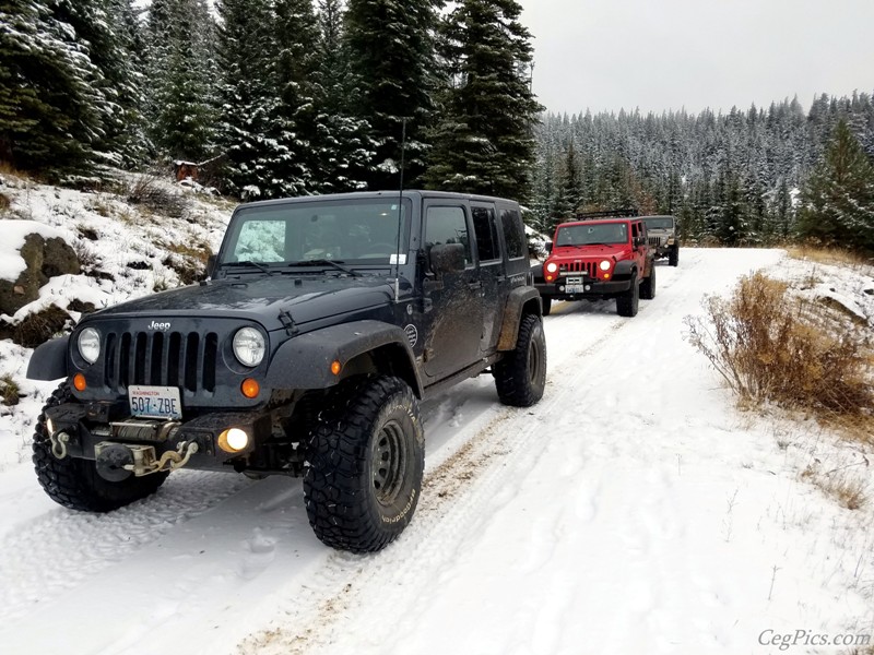 Christmas Tree Jeeping